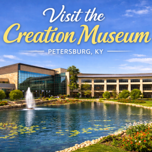 The Creation Museum