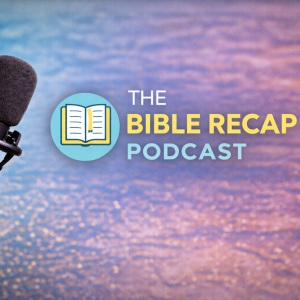 The Bible Recap Podcast (official link)